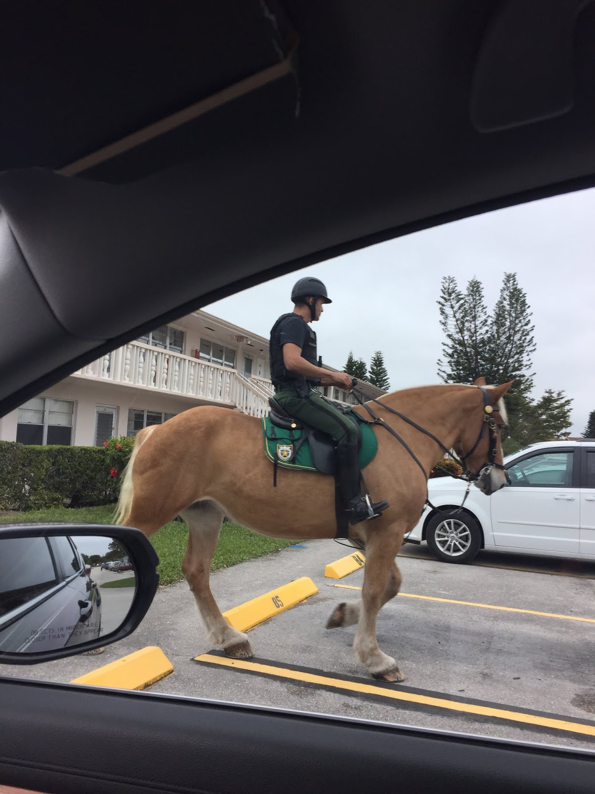 OUR VILLAGE in West Palm Beach Pet Friendly