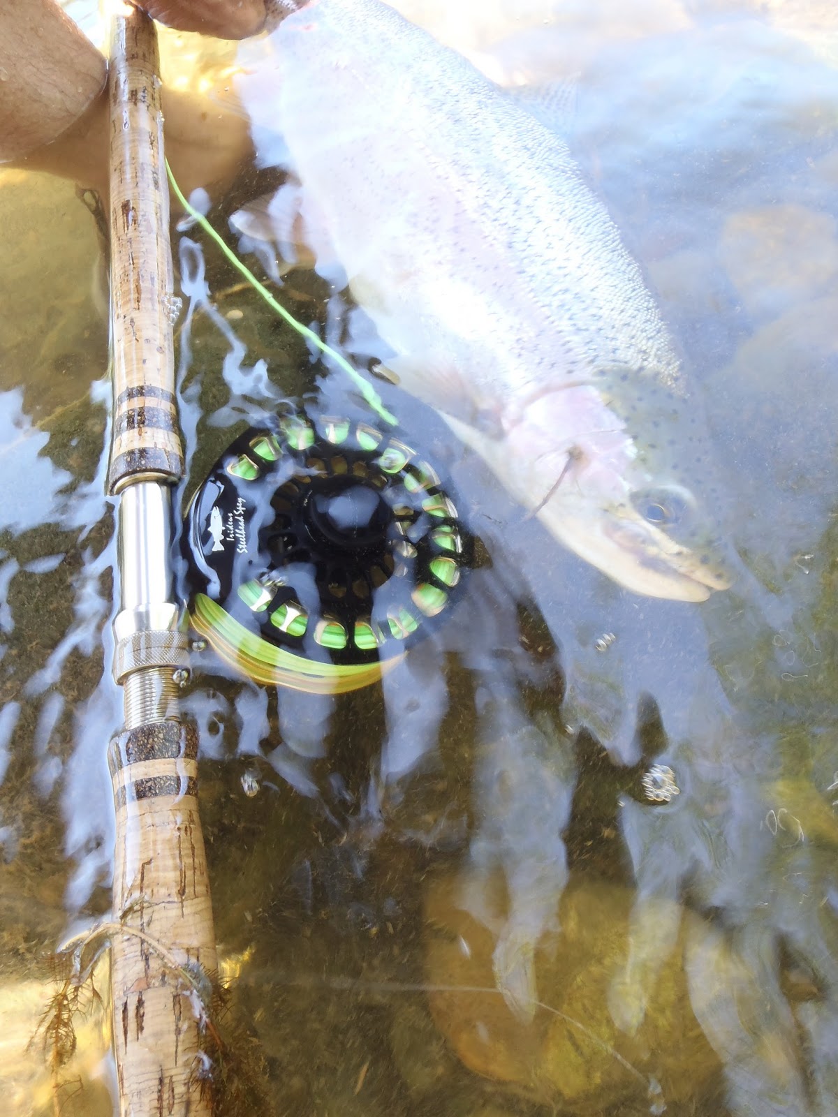 Irideus Fly Fishing Products Irideus Summer Steelhead Spey Pages Stick