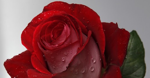 Поздравляем с юбилеем! | Логопедия для нас