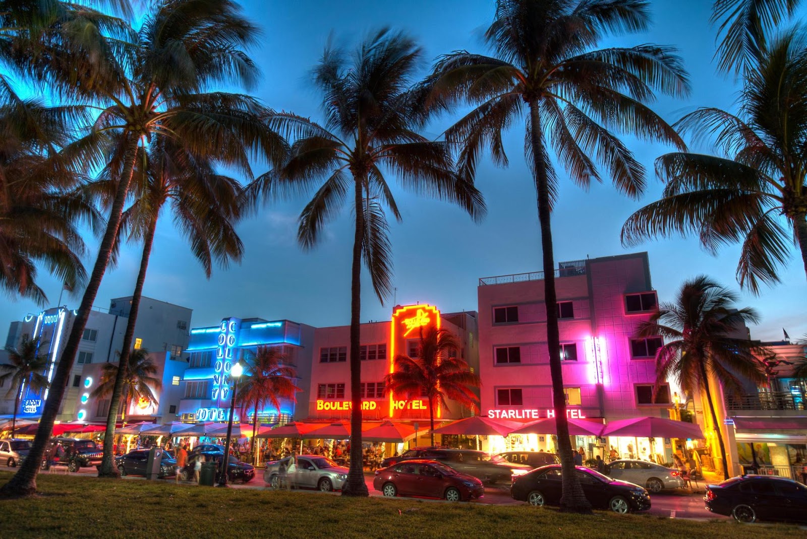 Miami lush, tropical landscape makes it feel like we live in paradise. 