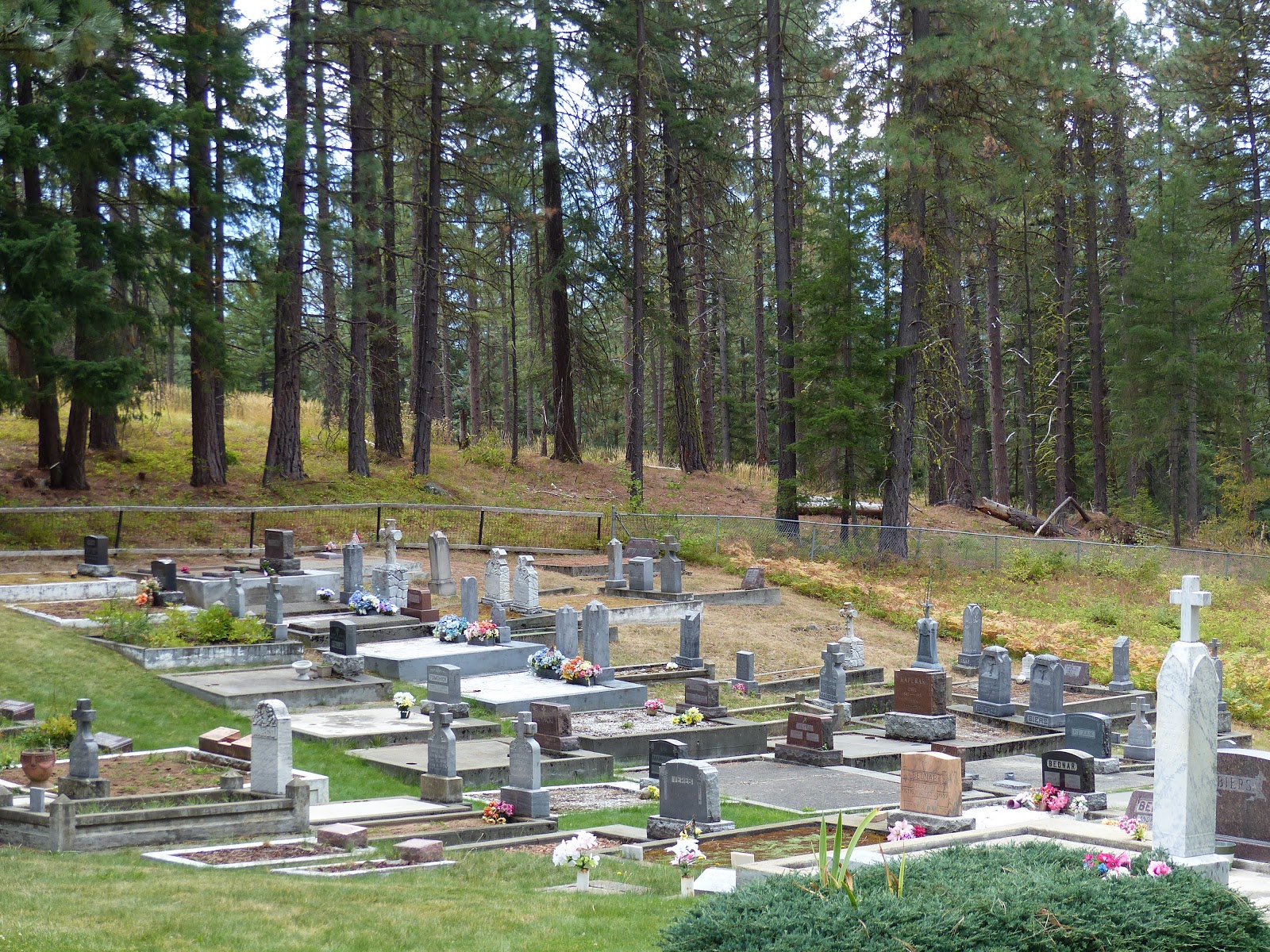 Land Cruising Adventure Roslyn Washington