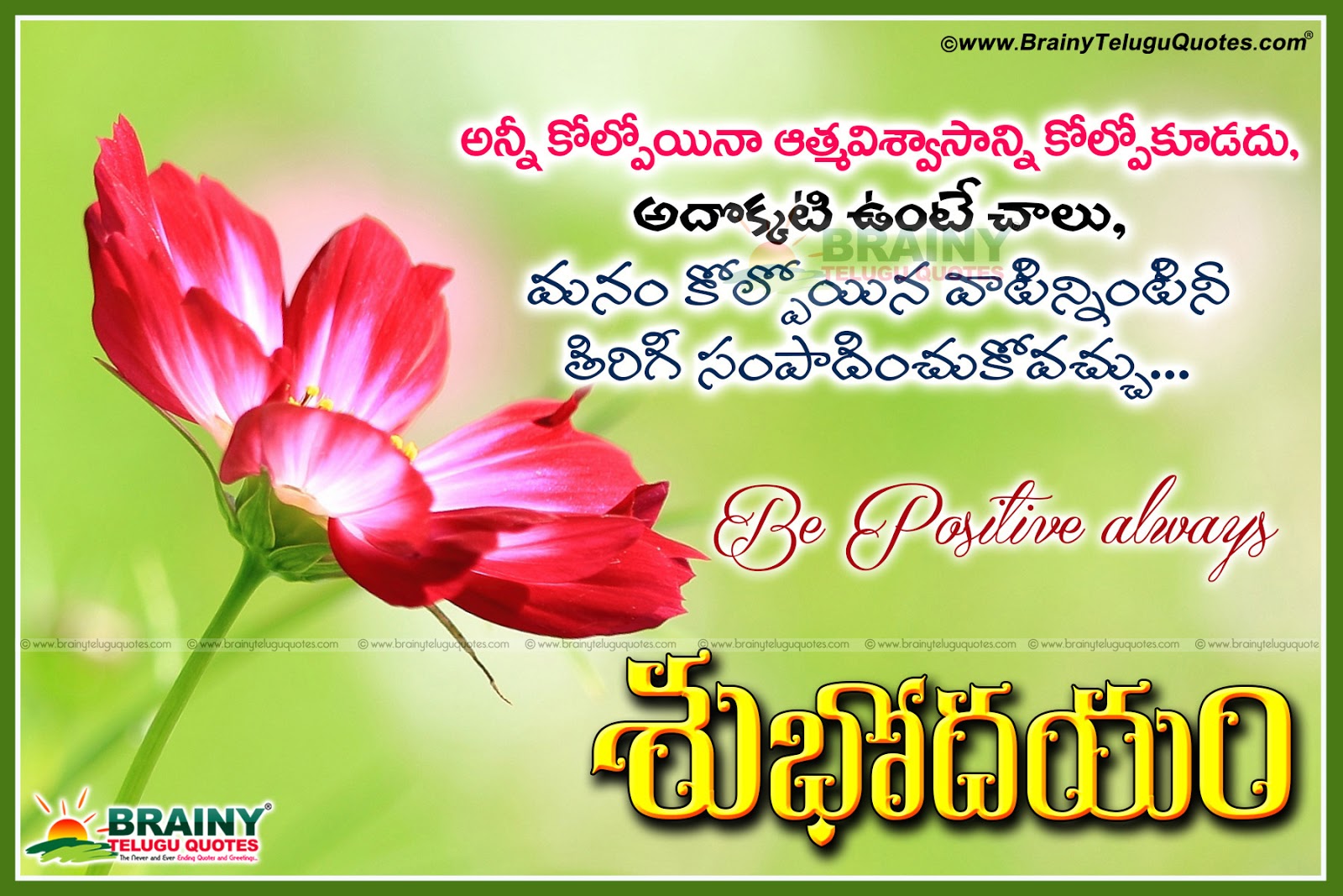 Best of Telugu Good Morning Greetings Wishes Messages quotes