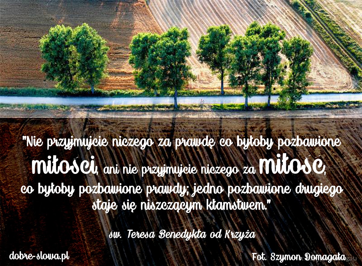 Znalezione obrazy dla zapytania sentencje edyty stein