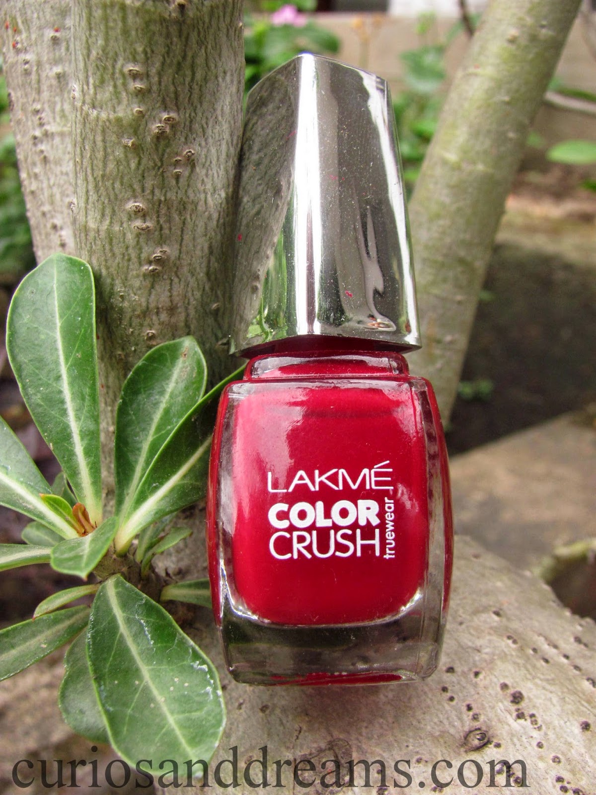 Lakme Color Crush Nail Polish No. 25 Review and NOTD Curios and