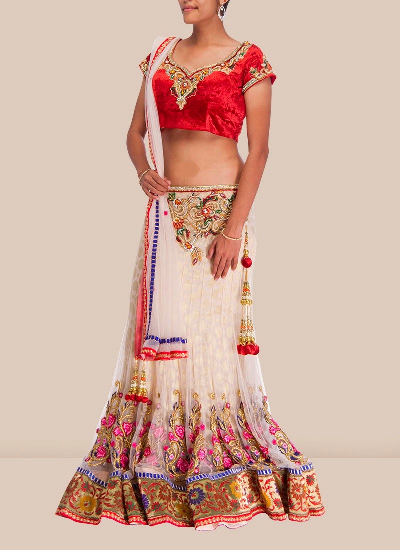 Net Lehengas with long gowns 2014-2015 for parties and functions | - Chal Abay