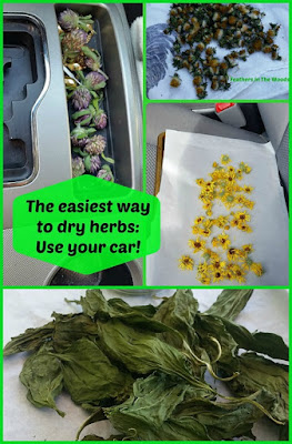 Dehydrate herbs in car