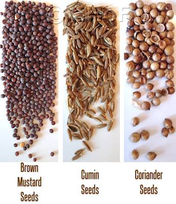 Brown Mustard, Cumin seed, Coriander seeds