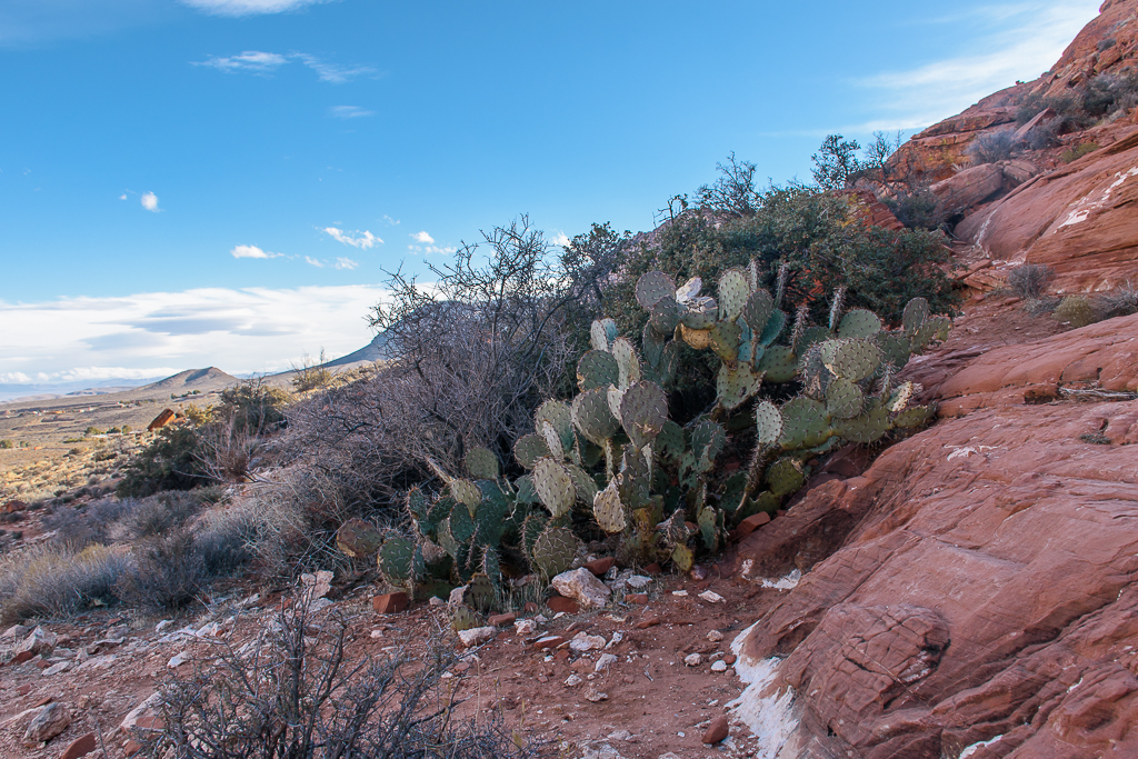 red rock canyon, parks in nevada where to visit, parks in nevada, where to explore in nevada
