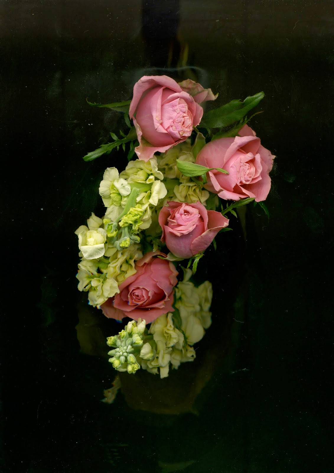 Unit 3 - Ideas and Concepts in Art and Design: Scanography