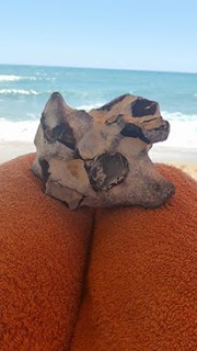 Meteorito encontrado em Albufeira, Portugal