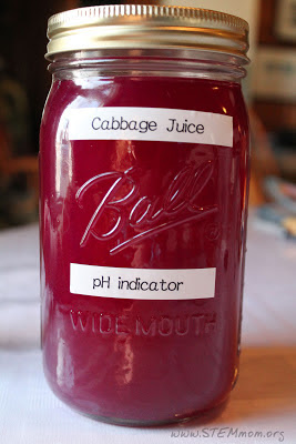 Store pH Cabbage Juice in glass containers: STEMmom.org
