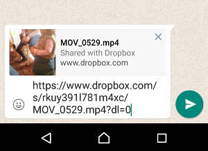 Como enviar arquivos grandes pelo WhatsApp Como enviar arquivos grandes pelo WhatsApp