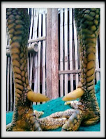 KELEBIHAN SISIK KAKI AYAM NAGA TEMURUN