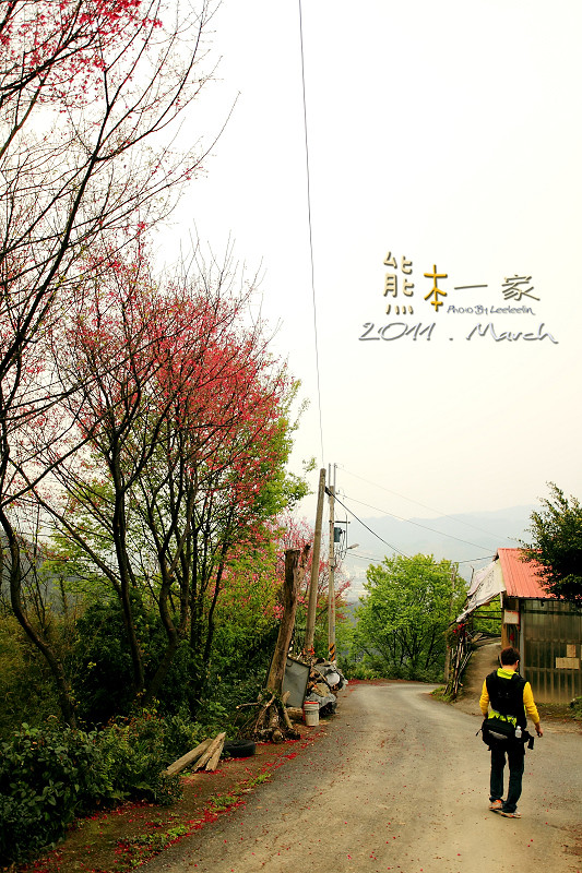 五寮尖媲美皇帝殿|新北三大尖山|玉觀音|龍山巖登山口|五寮尖登頂
