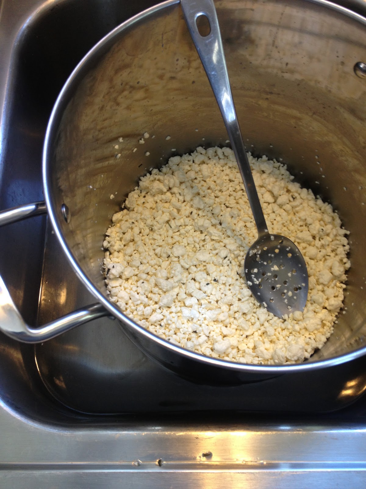 Of Song & Cheese My Dog, Stalking Cheeses and other things to think