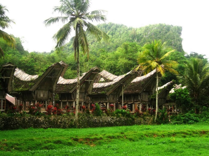 บ้านแบบท็องโกนัน ที่เมืองทานา ตอราจา เกาะสุลาเวสี อินโดนีเซีย