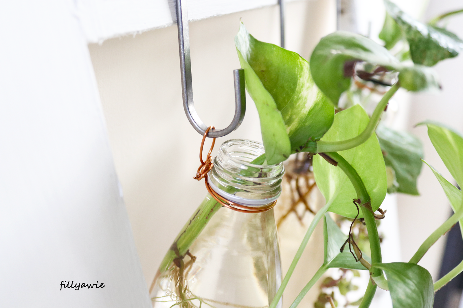 Diy Membuat Pot Tanaman Gantung Dari Botol Bekas Fillyawie