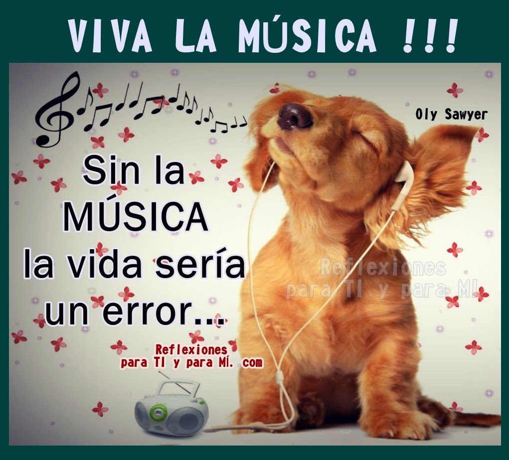 Ver las imágenes de origen