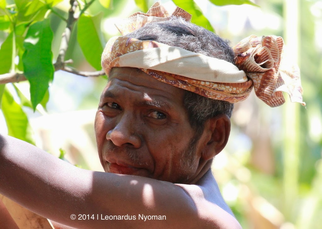Discovering Indonesia beyond Bali; Komodo,Flores,Sumba Discovering Indonesia beyond Bali; Komodo,Flores,Sumba