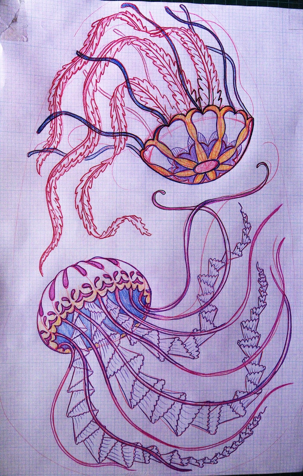 Eulalee leather: Drawing Jellyfish