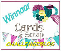 top 3 Cards en Scrap Challengeblog