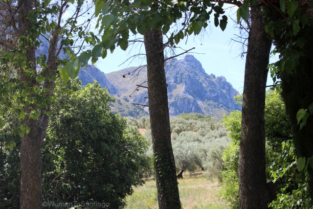 camino-mozarabe-cordoba-cortijo-abril