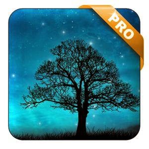 Dream Night Pro LWP v1.3.4 Apk Terbaru