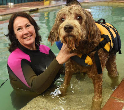 K9 Swim owner Sharon Osmond in a wetsuit hold onto a dog wearing a life jacket by the pool