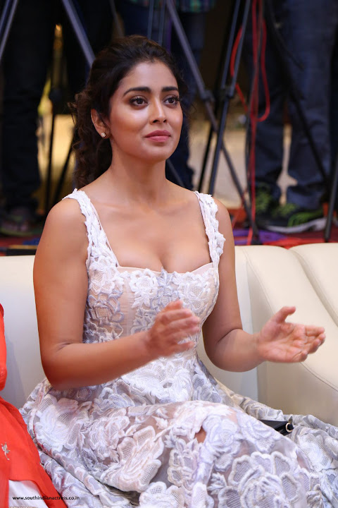 Shriya Saran at Paisa Vasool Movie Audio Success Meet Photos