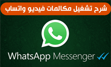 Whatsapp Video Call Whatsapp Video Call