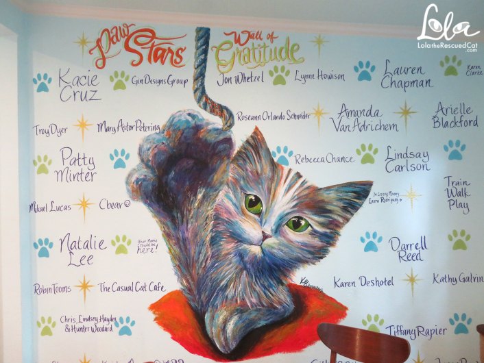 el gato coffee house|cat cafe|lola on the road