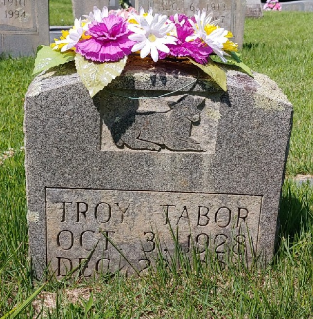 Reflections of Olde Swain The Lambs of the Tabor Cemetery