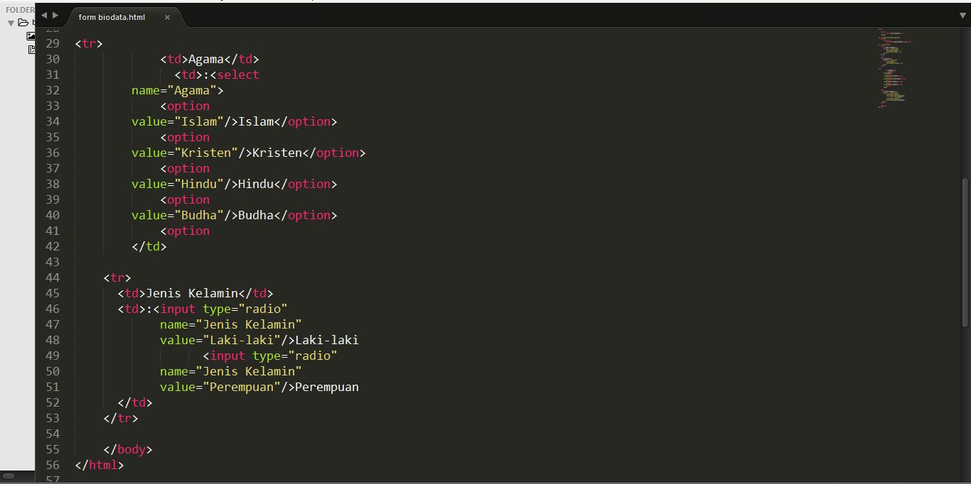 Dandi Mointi: Membuat Form Biodata dengan html