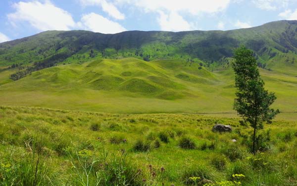 39 Tempat Wisata Bromo dan Sekitarnya 39 Tempat Wisata Bromo dan Sekitarnya