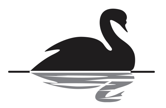 black swan theory