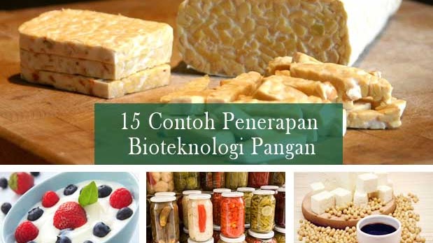 Bioteknologi Pangan 15 Contoh Produk Bioteknologi Yang Dihasilkan