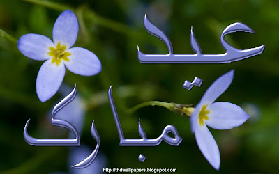 Eid Ul Adha Zuha Mubarak Flowers Wallpapers Greeting Cards 2012 in Urdu 014
