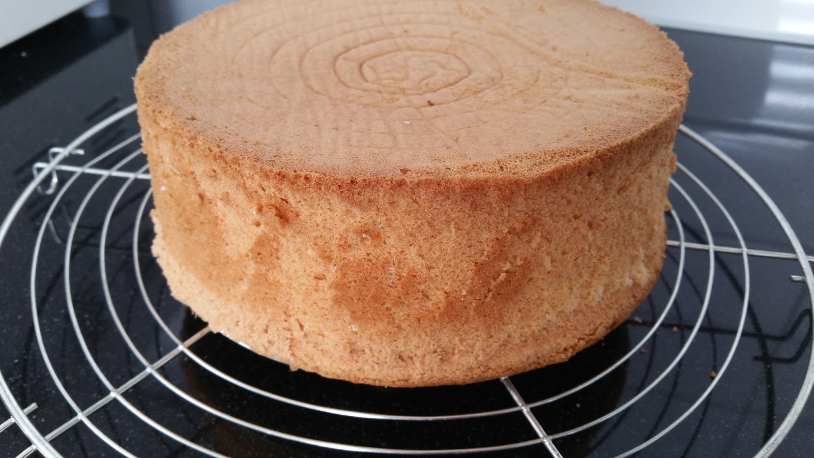 biscuitbeslag voor taart biscuitbeslag voor taart