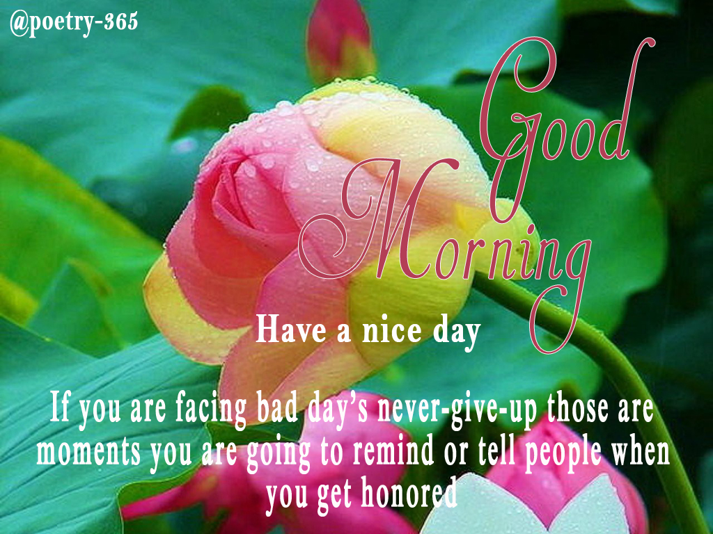 Wishes and Poetry: Good Morning Image of Poetry and Wishes with Flowers ...