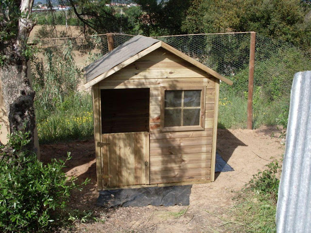 crónicas da vida Galinheiros