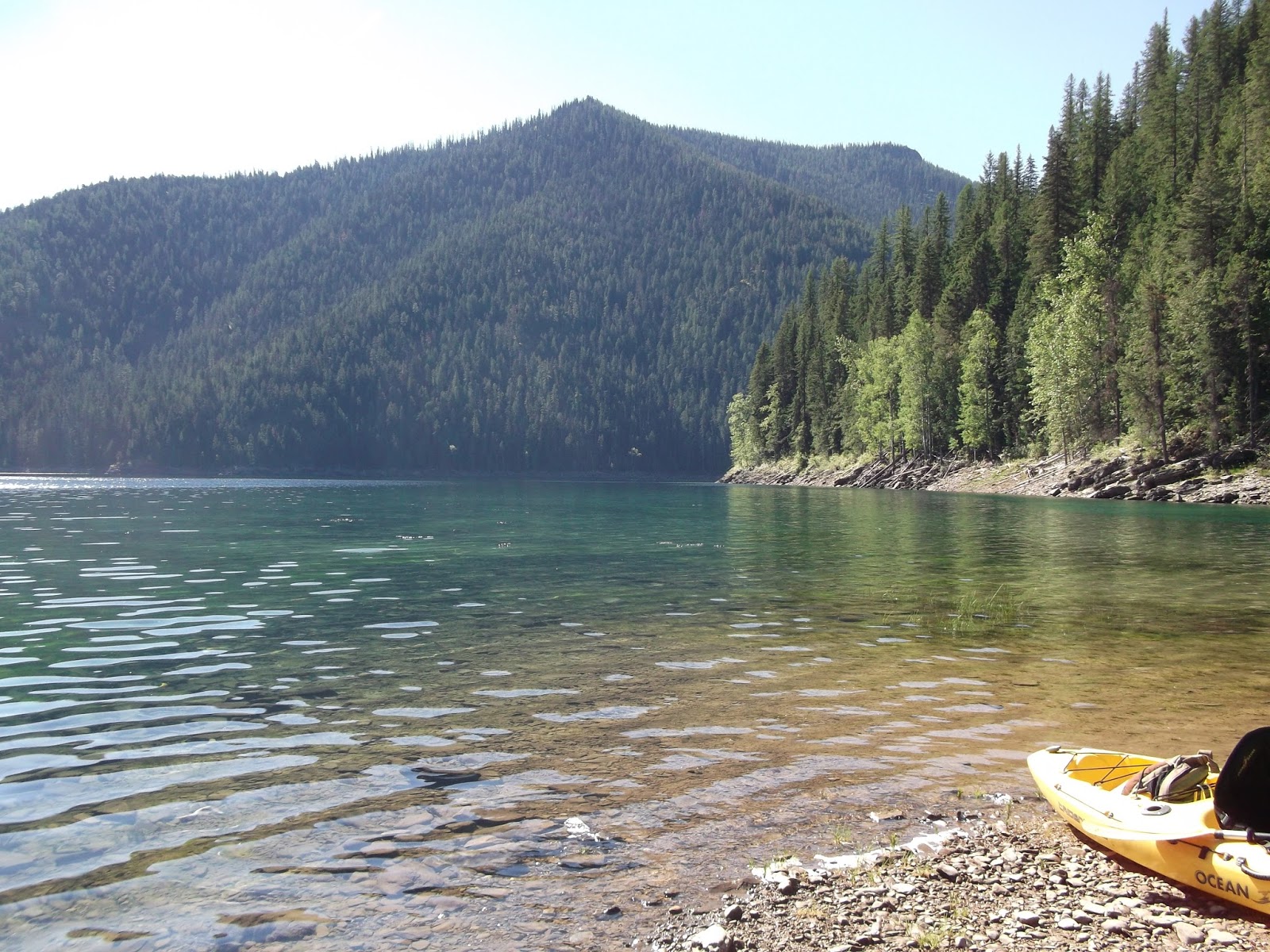 West Pine Creations Spruce