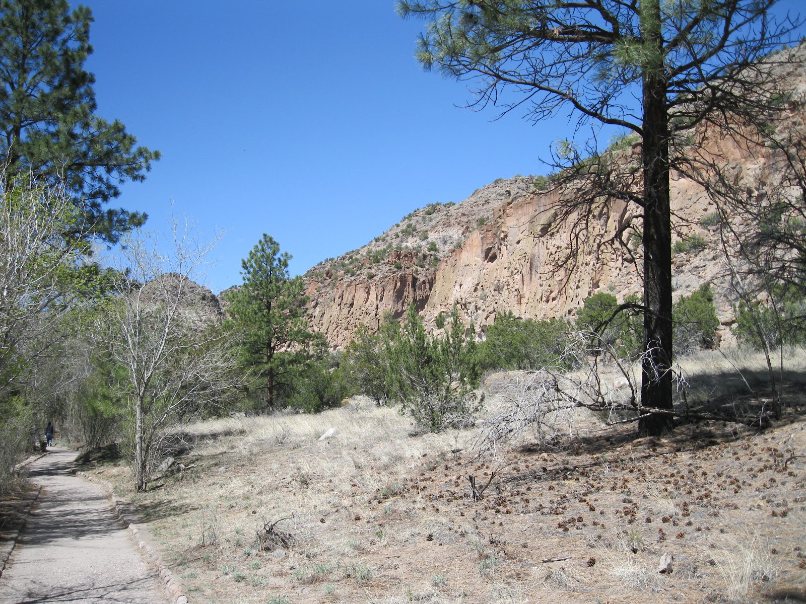 Four Corners Hikes-Navajo Nation: Bandelier Main Loop Trail