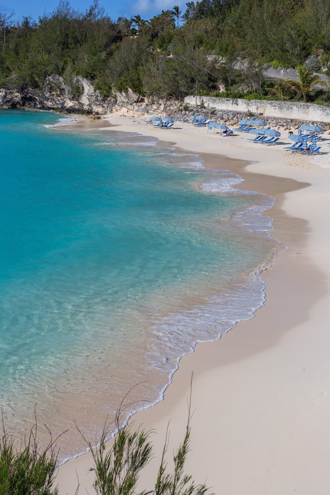 Pink Sand Beaches of Bermuda