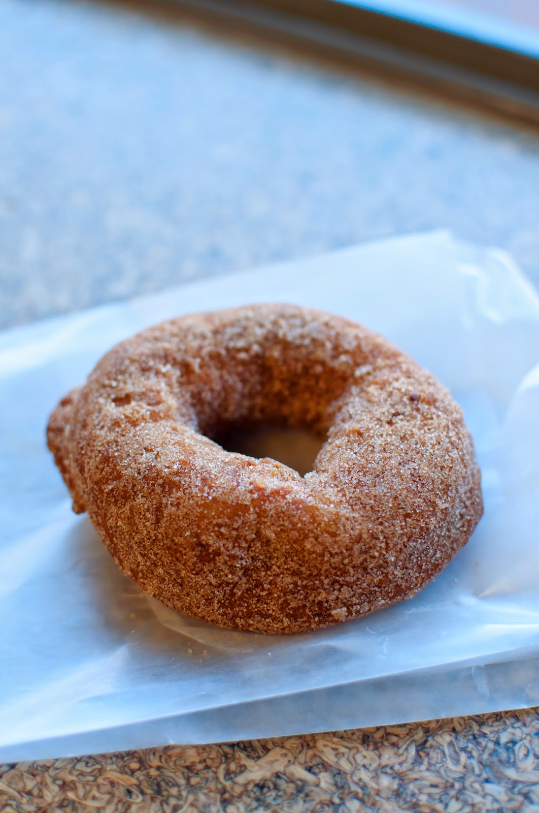 Where to Eat Vegan Where to Eat Vegan The Holy Donut Portland, Maine