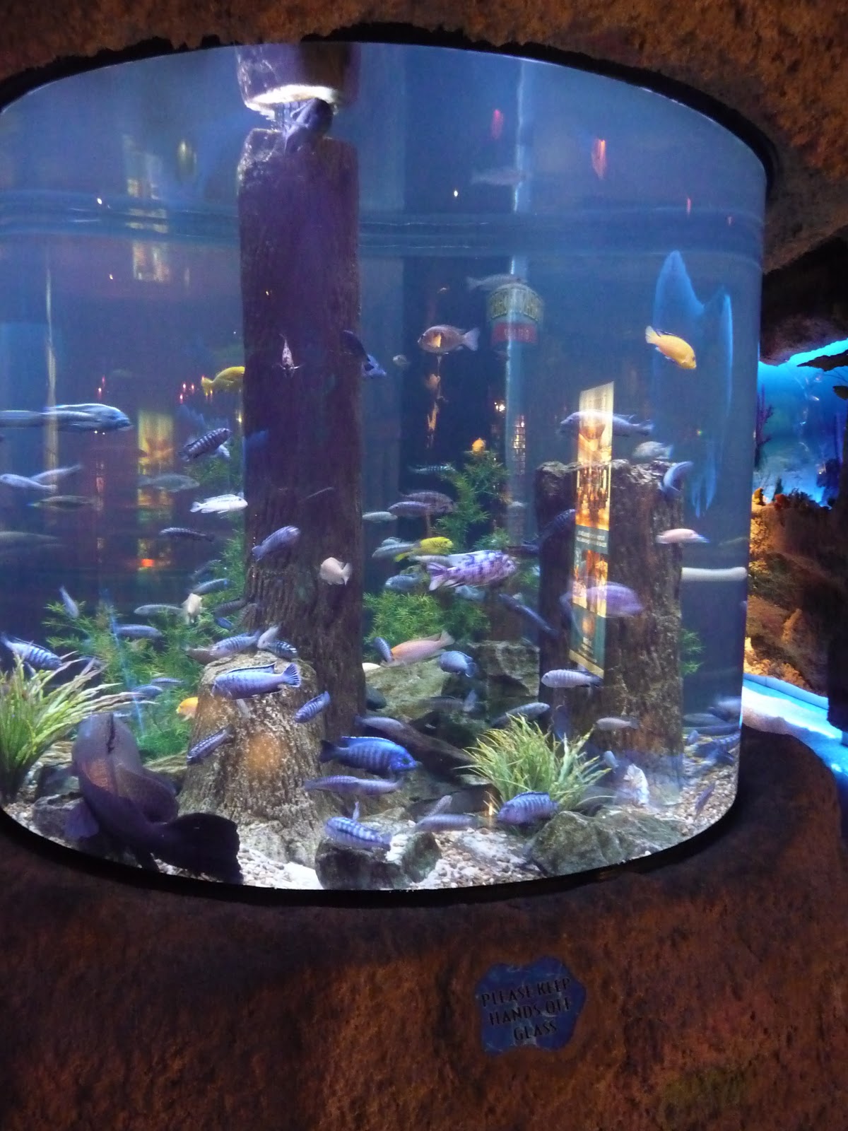 The Allgood Life DAY 101 Galveston & Houston, TX…