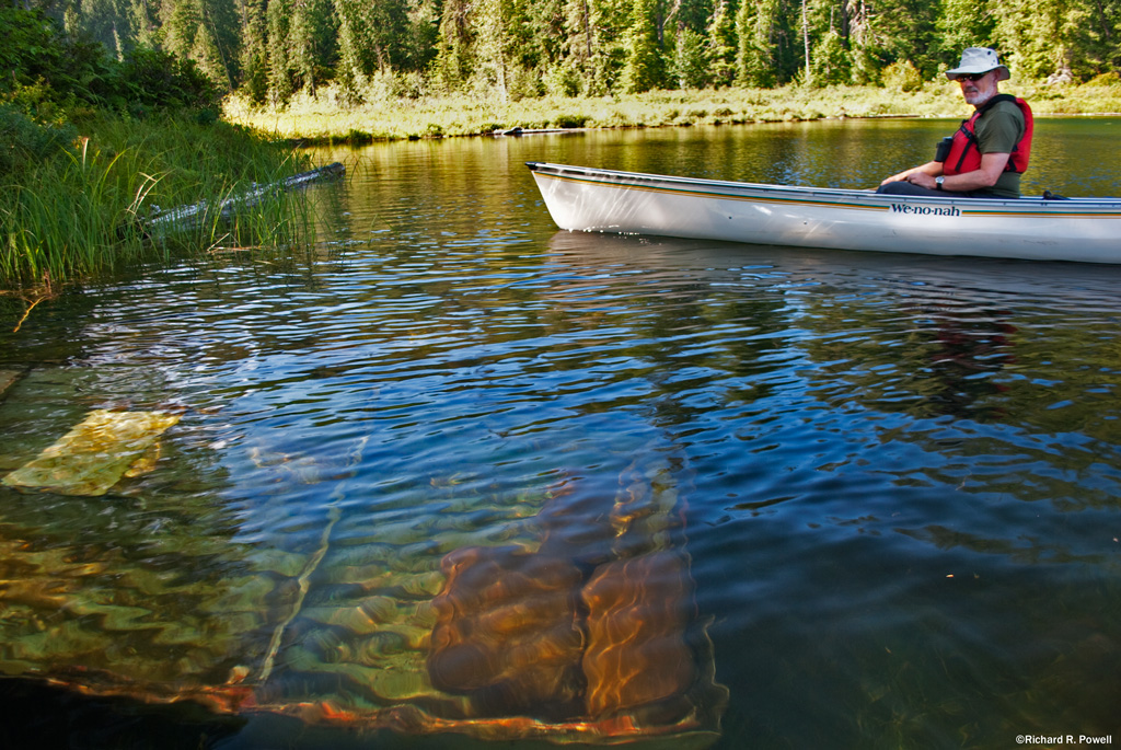 100 Lakes on Vancouver Island Antler Lake