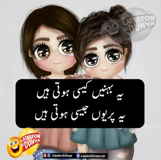 Best of Funny Jokes in Urdu Collection With Images 14