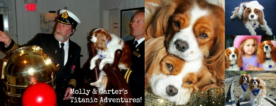 Molly & Carter's Titanic Adventures