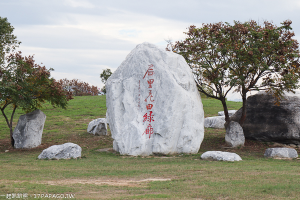 台中后里景點|后里花田綠廊|環保公園|1.2公頃繽紛花海|棒棒糖花海 台中后里景點|后里花田綠廊|環保公園|1.2公頃繽紛花海|棒棒糖花海
