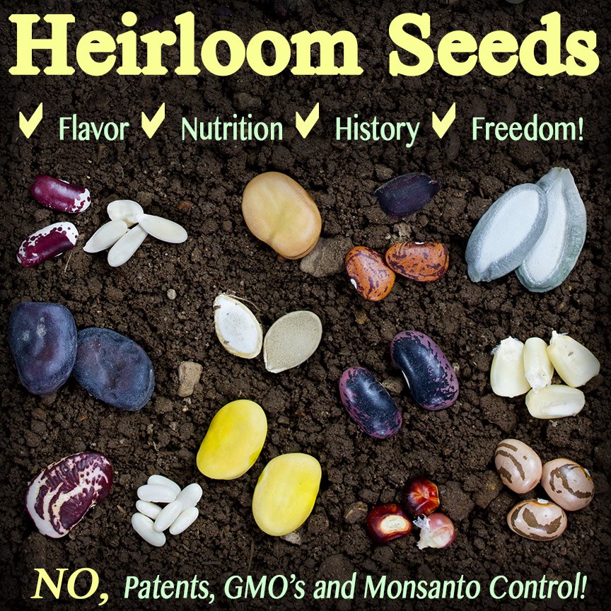 Hanging Off The Wire Baker Creek Seeds Springtime2016